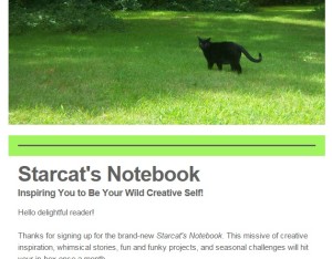 starcatsnotebook